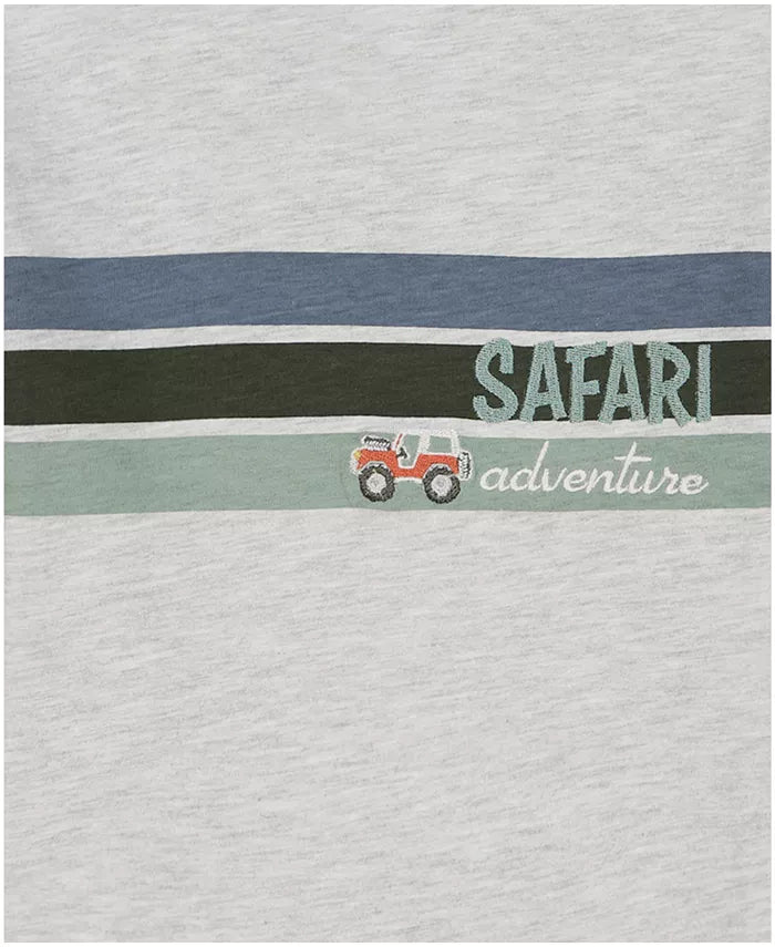 Boys' Toddler 2T-5T Short-Sleeve Safari Stripes T-Shirt and Poplin Cargo Shorts, 2-Piece Set